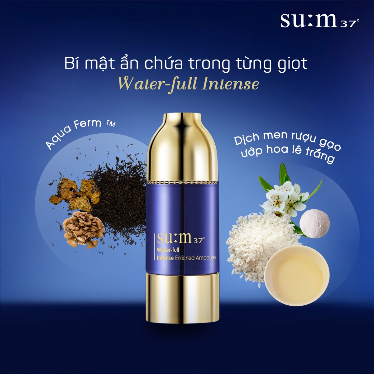 " Cấp Cứu" cho làn da thiếu sức sống của nàng với tinh chất Water - Full Intense Enriched Ampoule